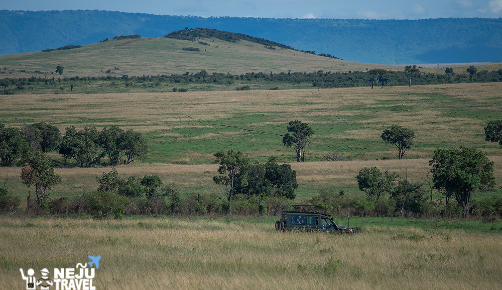 เคนย่า kenya game drive1