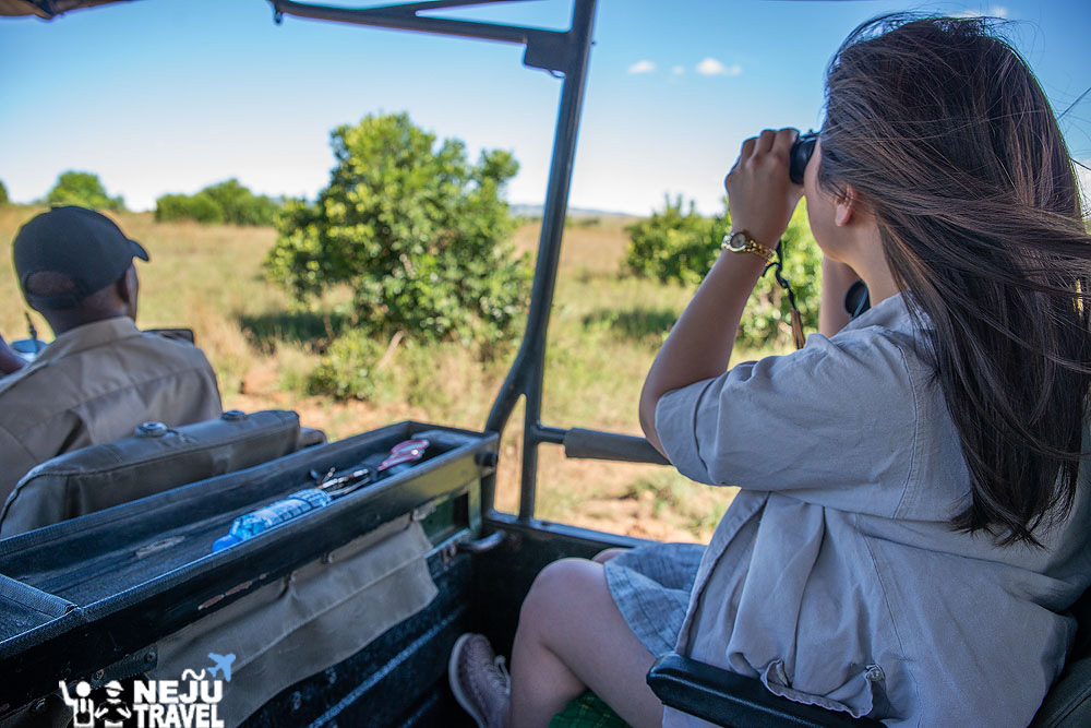 เคนย่า kenya game drive safari3