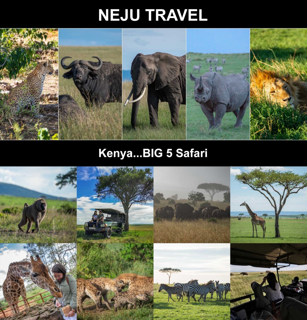 เคนยา kenya cover review
