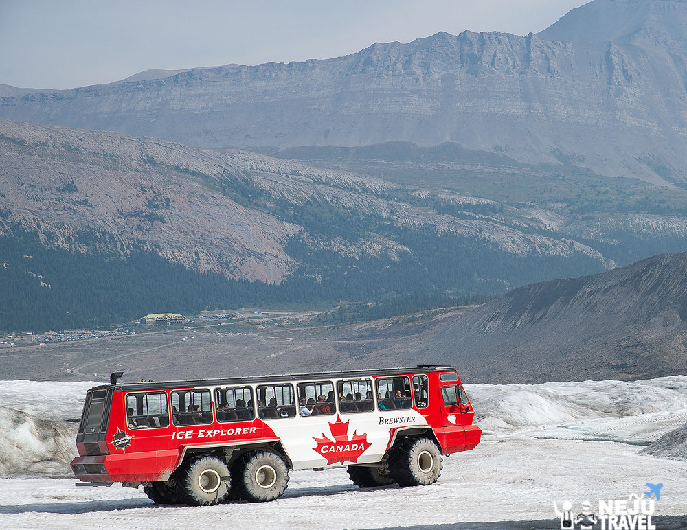 canada jasper national park glacier6