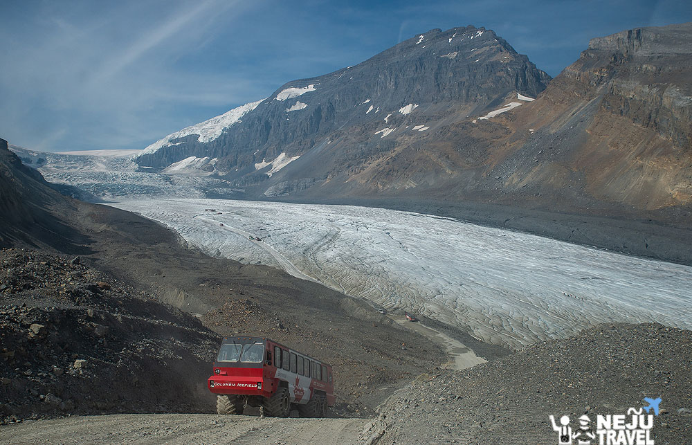 canada jasper national park glacier7