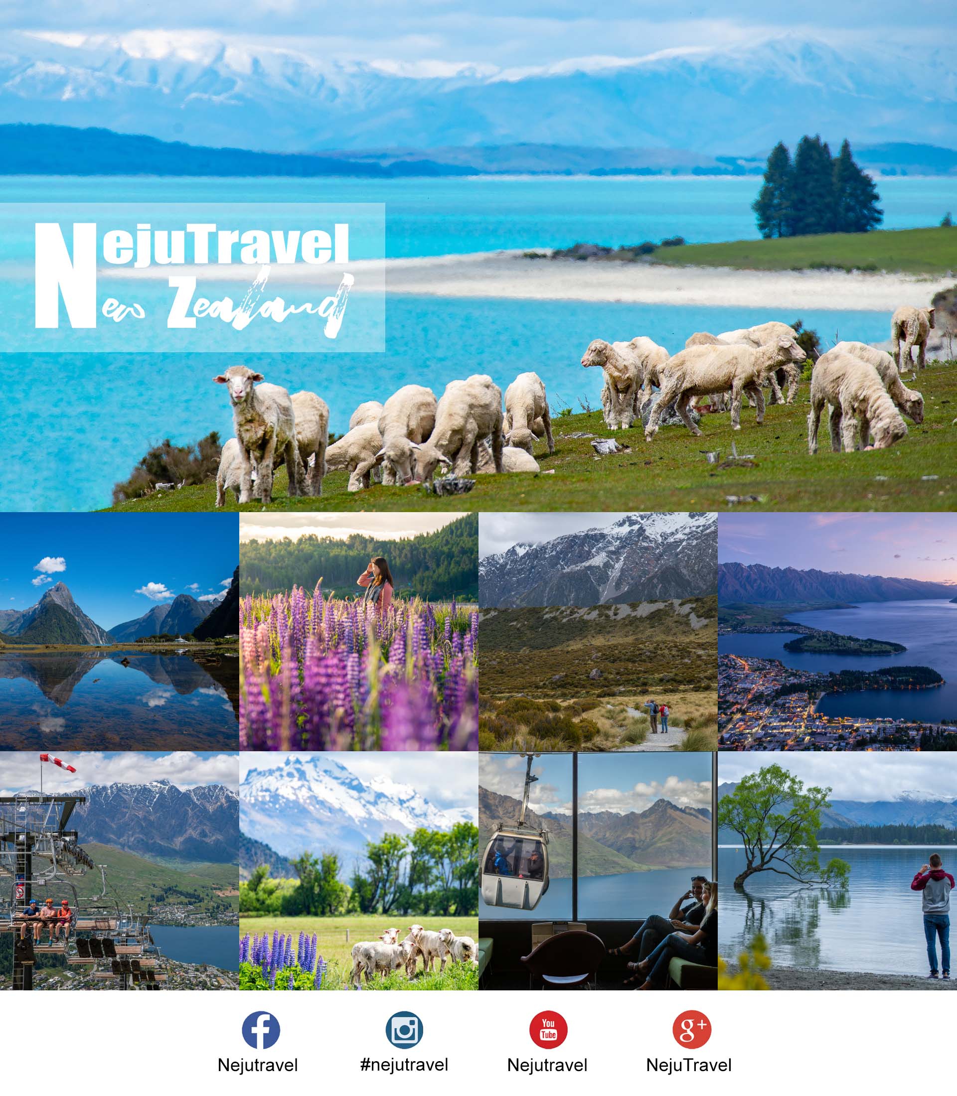นิวซีแลนด์ new zealand review nejutravel
