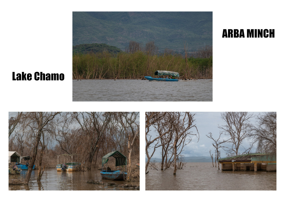 เที่ยวเอธิโอเปีย chamo lake 1